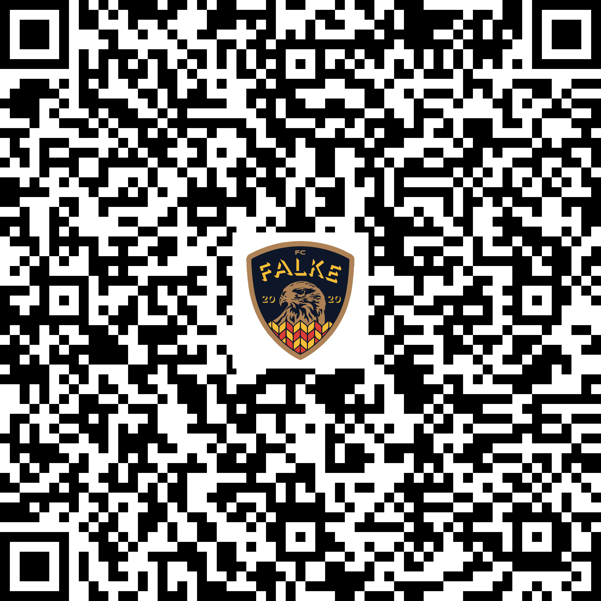TWINT QR Code FC Falke Lupfig